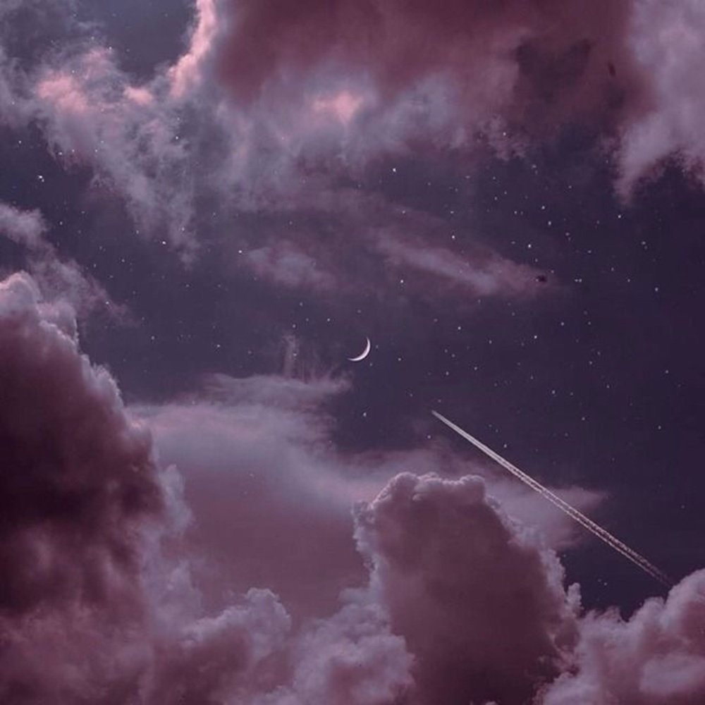 N i c o l e t t e 🌜